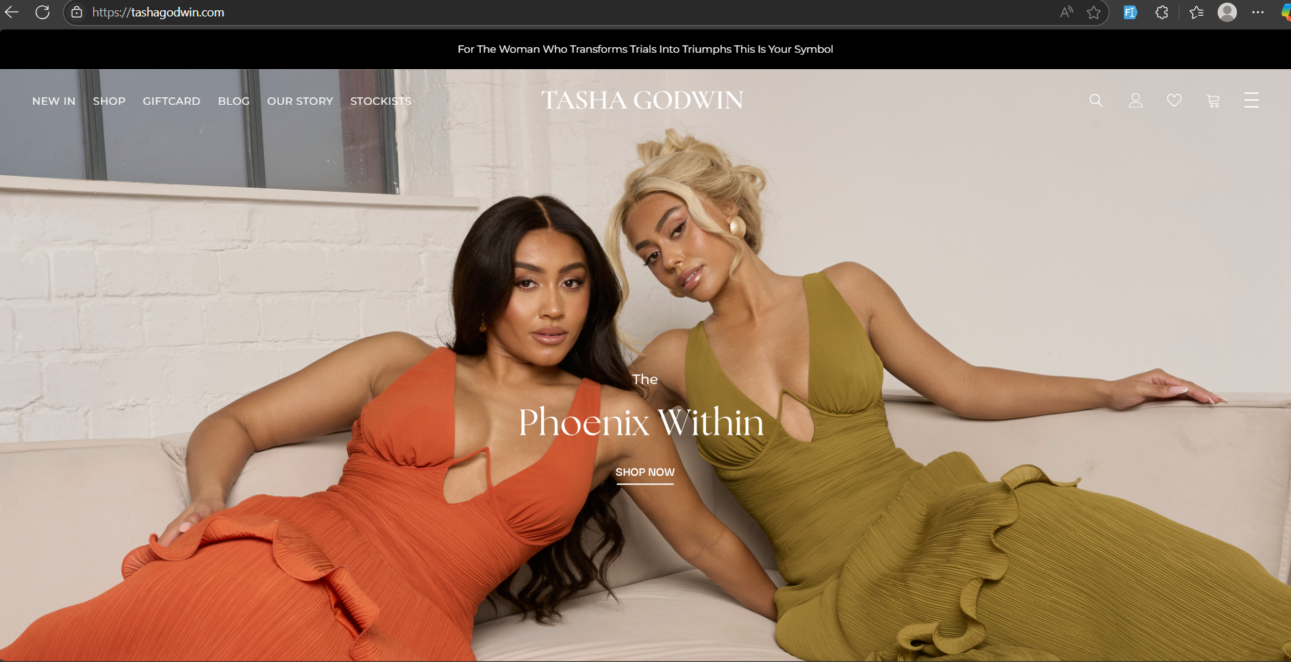 Tasha Godwin - Wordpress e-Commerce